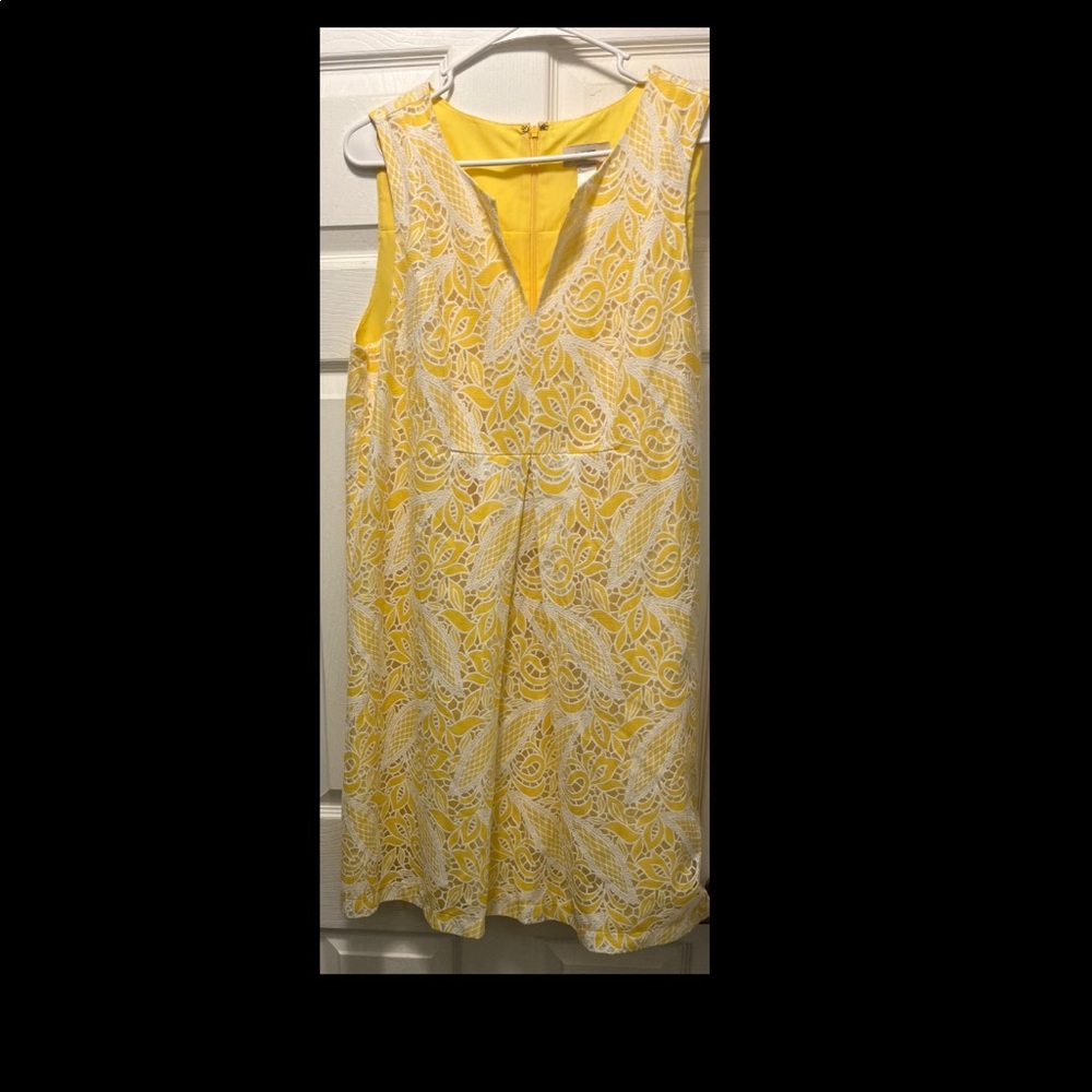 Gently Worn Loft Ann Taylor Lace Overlay Dress